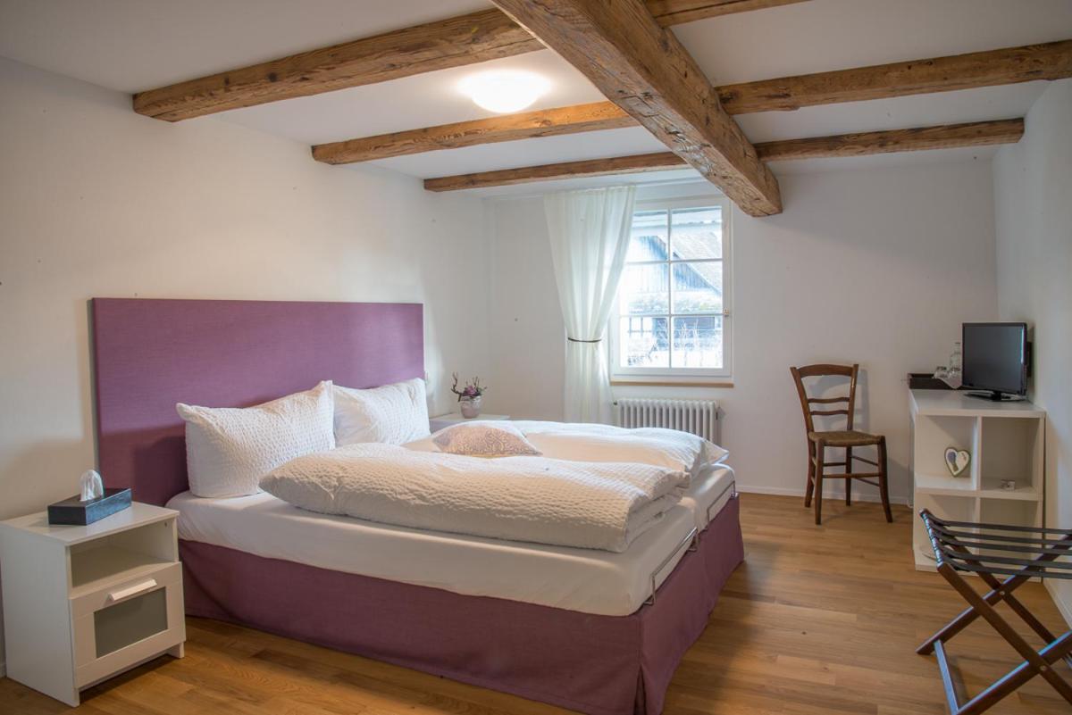 3 Sterne Boutique Gasthaus Poestli Rifferswil Экстерьер фото